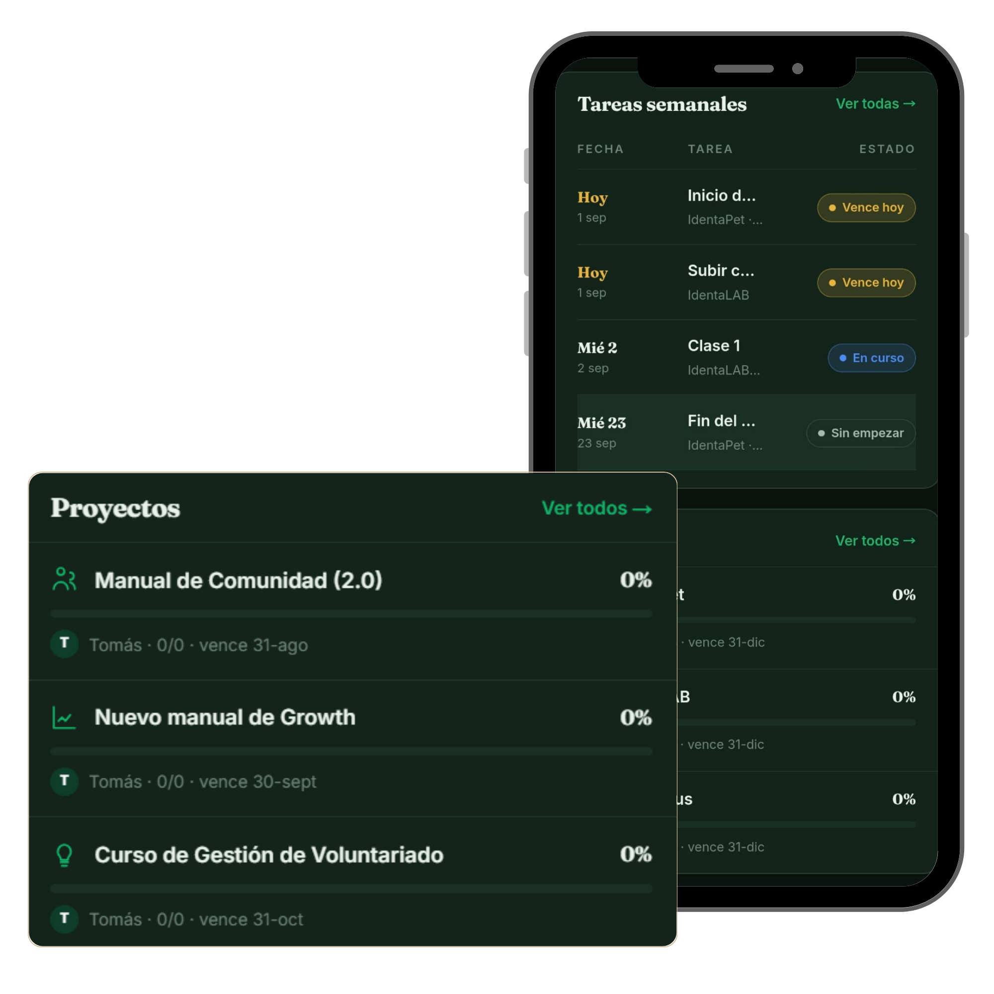 Vista móvil de IdentaLAB con proyectos, porcentaje de avance y tareas semanales del equipo